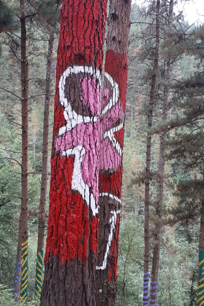 Bosque pintado de Oma, Seminala