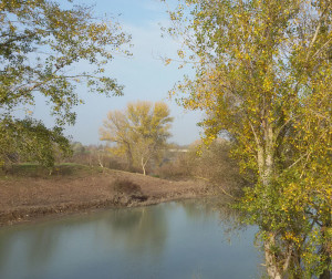 Alberi e fiume Mincio in autunno, Seminala