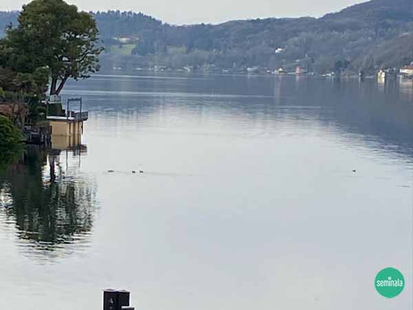 lago d'Orta 